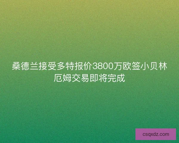 桑德兰接受多特报价3800万欧签小贝林厄姆交易即将完成