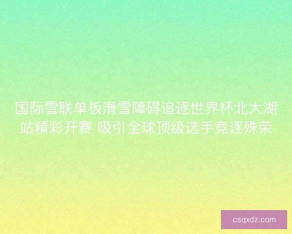 国际雪联单板滑雪障碍追逐世界杯北大湖站精彩开赛 吸引全球顶级选手竞逐殊荣