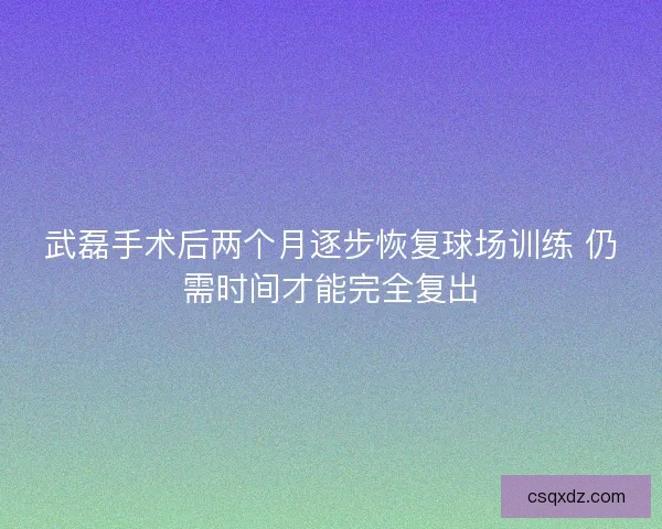武磊手术后两个月逐步恢复球场训练 仍需时间才能完全复出 武磊手术后两个月逐步恢复球场训练 仍需时间才能完全复出